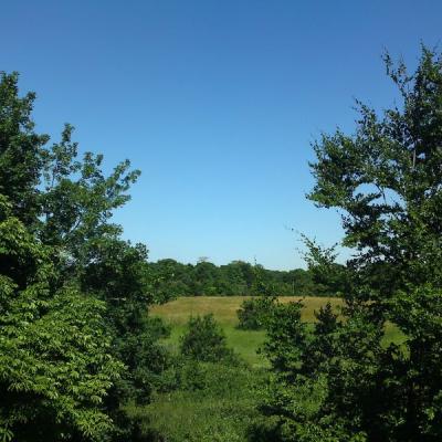 2013 Esher View